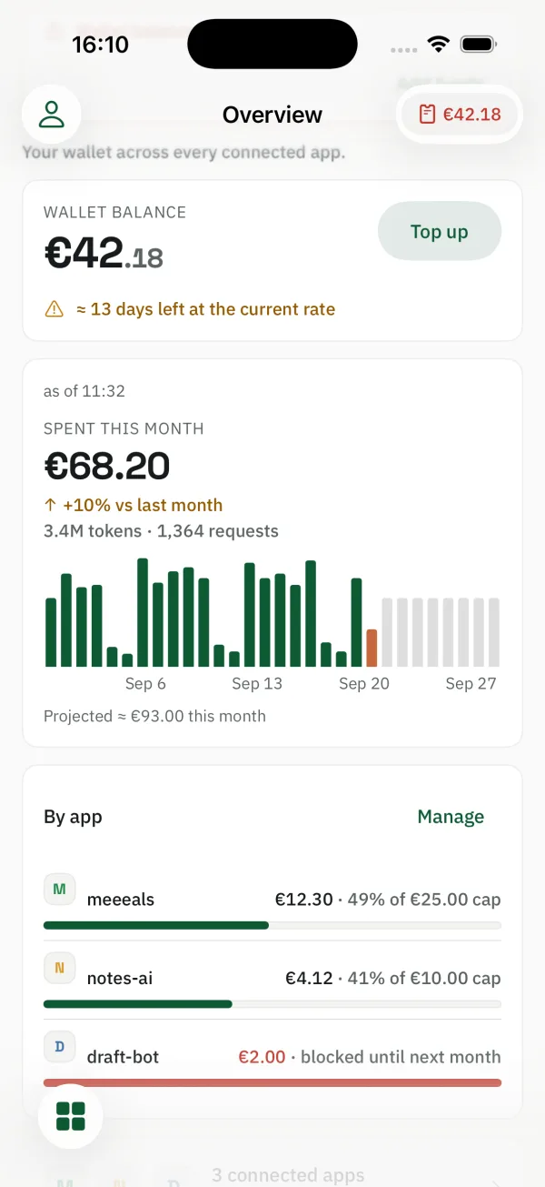 Fleeex iOS app, Overview: wallet balance with a top-up button, spend this month with a daily chart, and spend by app against each monthly cap, one app blocked until next month.